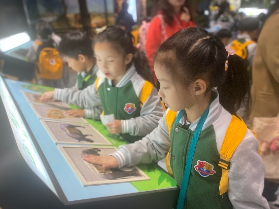 图片4.JPG