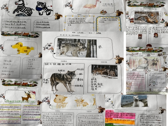 图3.jpg