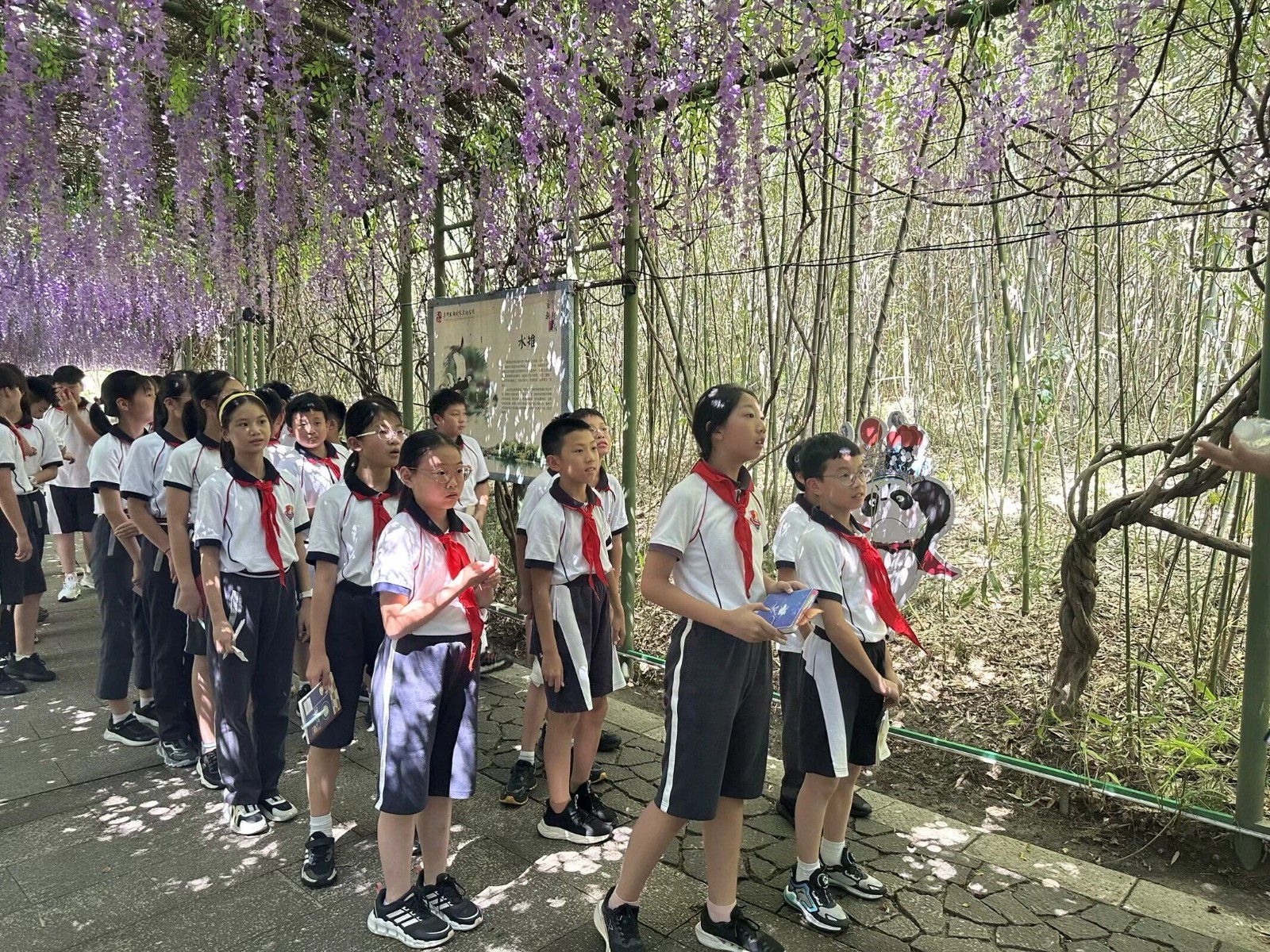 图3.jpg
