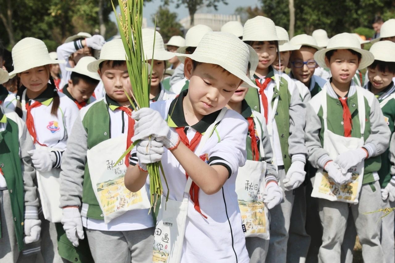 图片1.JPG