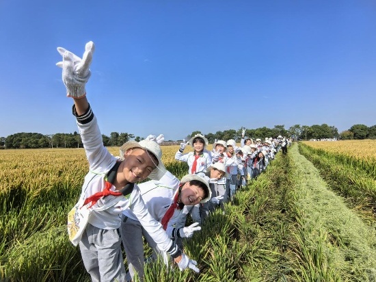 图片4.jpg