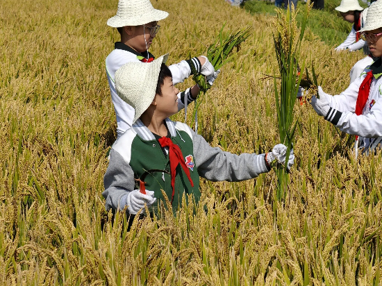 图2.jpg