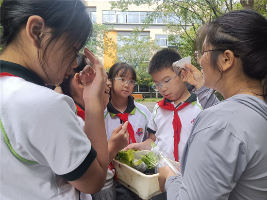 图一.jpg