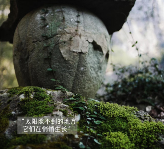 图片2.JPG