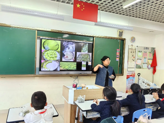 图1.jpg