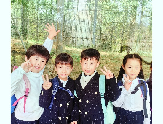 图片2.jpg 图片2.jpg