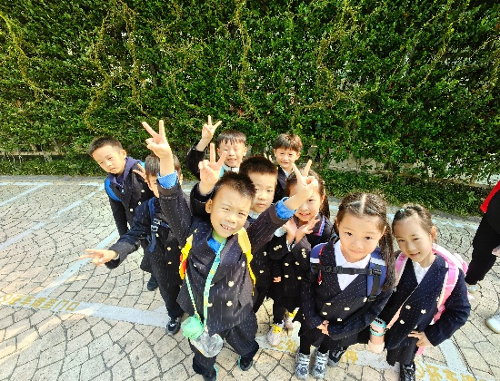 图片3.jpg 图片3.jpg